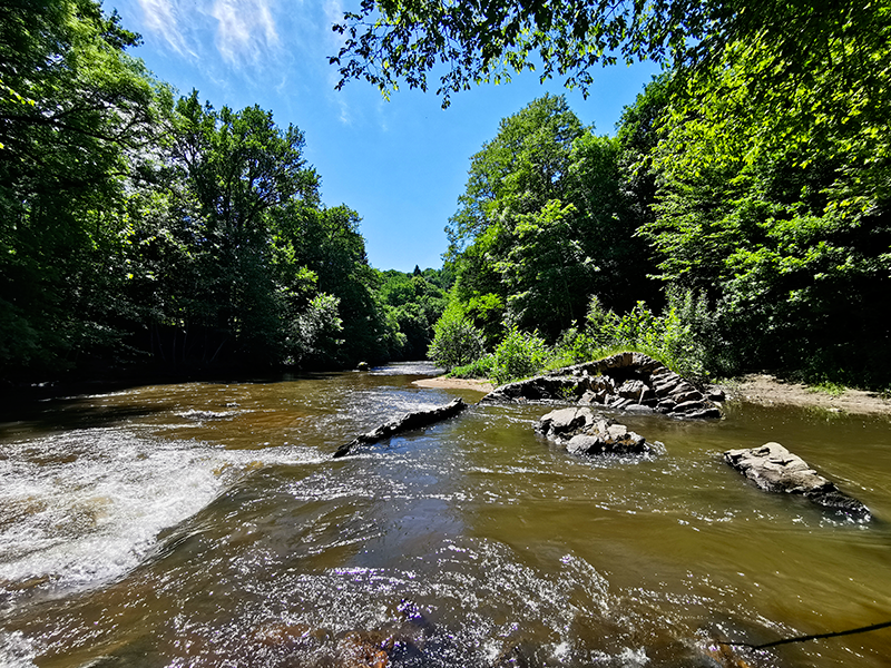Tèrra Aventura : À l'assaut de Châlucet