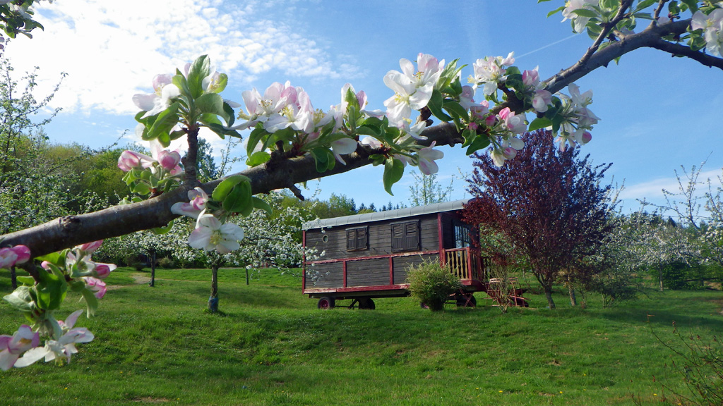 Le Village des Monédières, Chamberet - photo 9