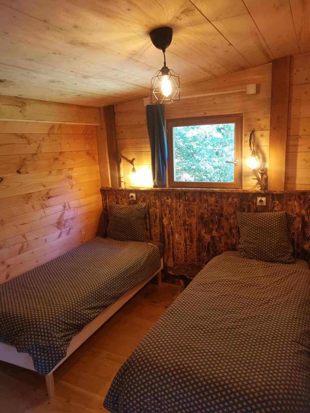 L'Eveil de la Forêt - gîte Nature, Sarran - photo 6