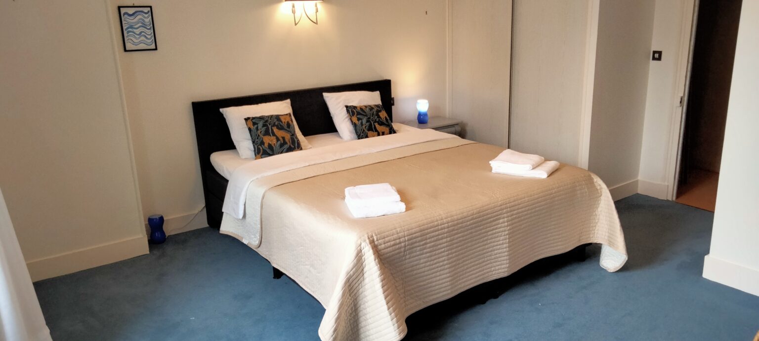 Château la Séchère, Usson-du-Poitou - photo 10