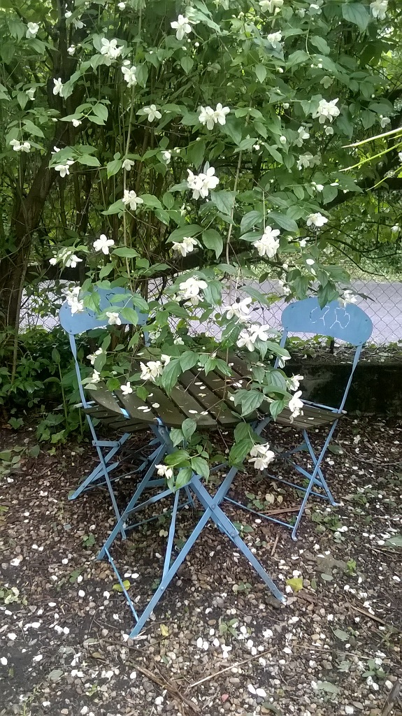 Jean-Pierre et Christine BESSELIEVRE - photo 4