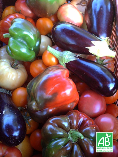 Les 3 Vignobles et sa recette Simplicité, Convivialité et Tranquillité, Pardaillan - photo 9