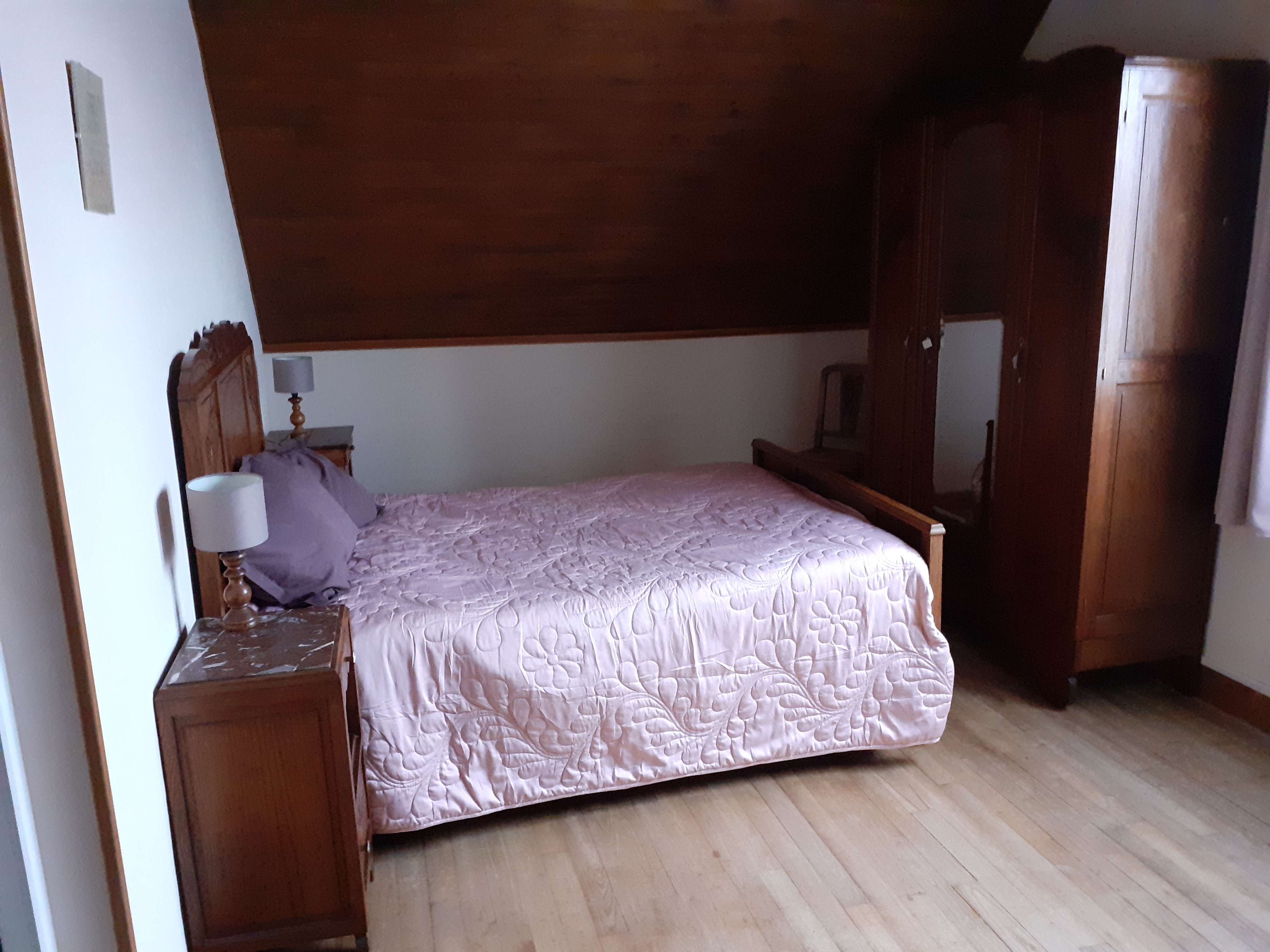 L'Araucaria, Nexon - photo 3