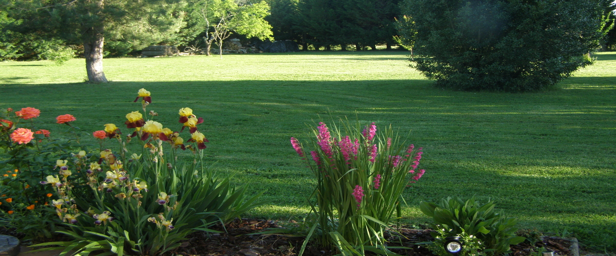 Chambres d'hôtes Les Denias, Saint-Paul - photo 3