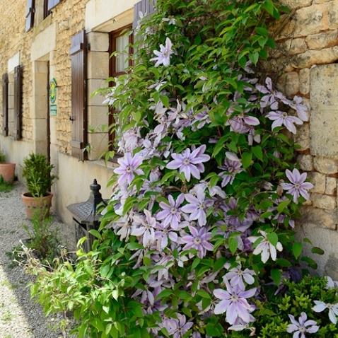 La Ferme du Puy d'Anché - chambres d'hôtes
