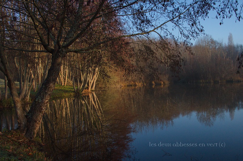 Les Deux Abbesses en Vert, Mareuil en Périgord - photo 12