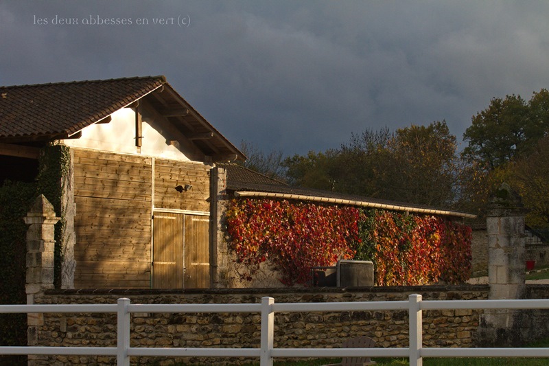 Les Deux Abbesses en Vert, Mareuil en Périgord - photo 10