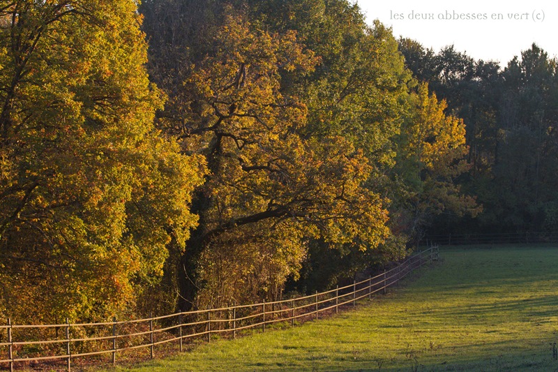 Les Deux Abbesses en Vert, Mareuil en Périgord