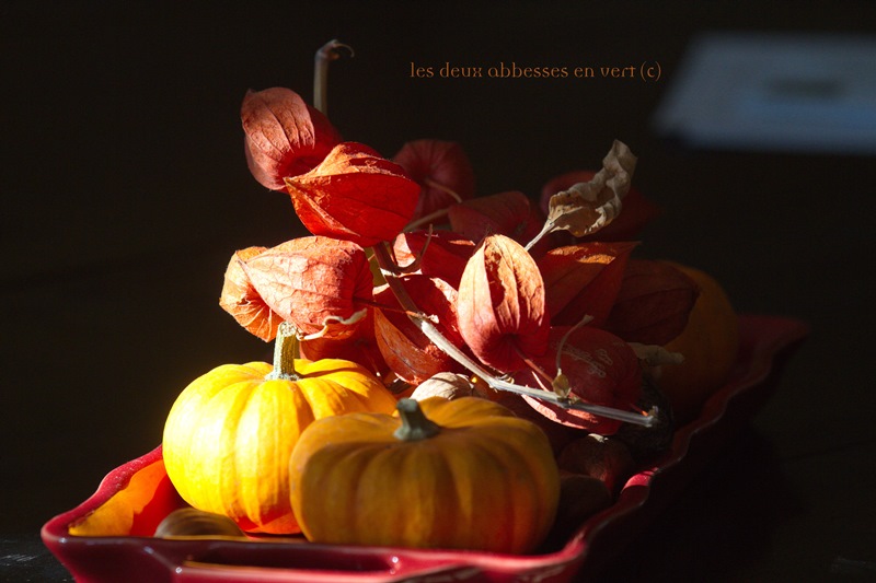 Les Deux Abbesses en Vert, Mareuil en Périgord - photo 2