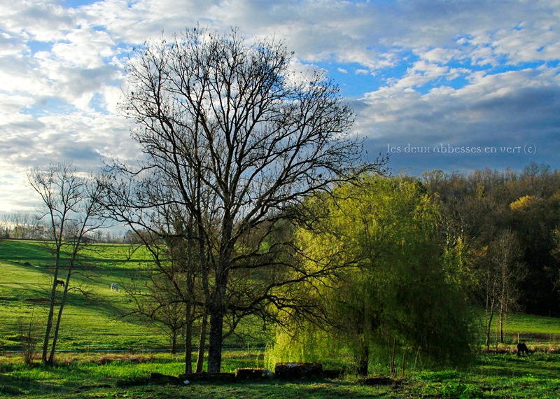 Les Deux Abbesses en Vert, Mareuil en Périgord - photo 14