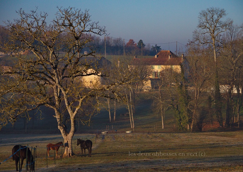 Les Deux Abbesses en Vert, Mareuil en Périgord - photo 18
