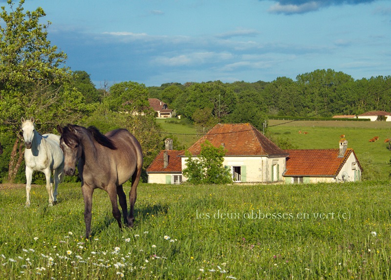 Les Deux Abbesses en Vert, Mareuil en Périgord - photo 16