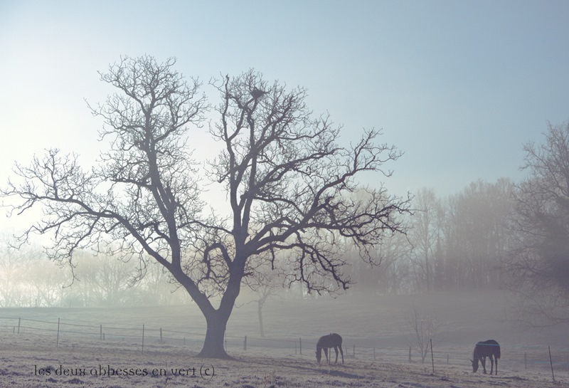 Les Deux Abbesses en Vert, Mareuil en Périgord - photo 5
