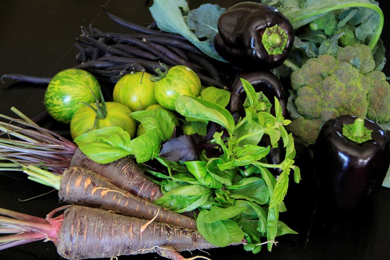 Les Deux Abbesses en Vert, Mareuil en Périgord - photo 6
