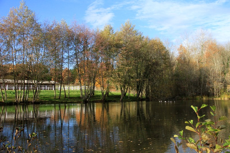 Les Deux Abbesses en Vert, Mareuil en Périgord - photo 7