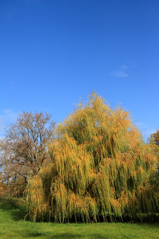 Les Deux Abbesses en Vert, Mareuil en Périgord - photo 17