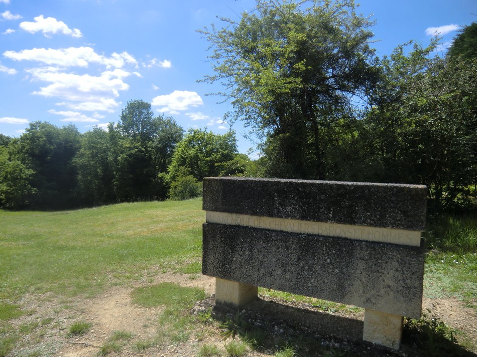 Champ de Bataille 1356, Nouaillé-Maupertuis - photo 3