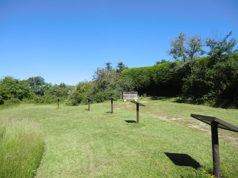 Champ de Bataille 1356, Nouaillé-Maupertuis - photo 6