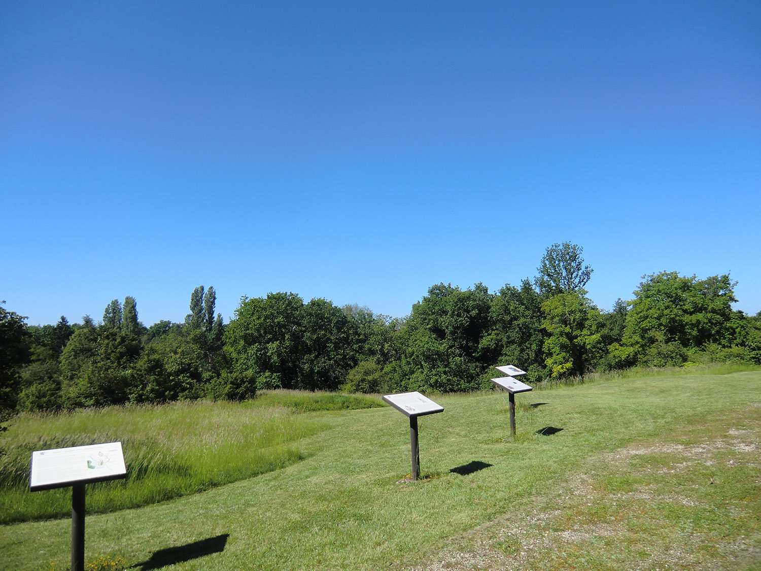 Champ de bataille 1356, Nouaillé-Maupertuis
