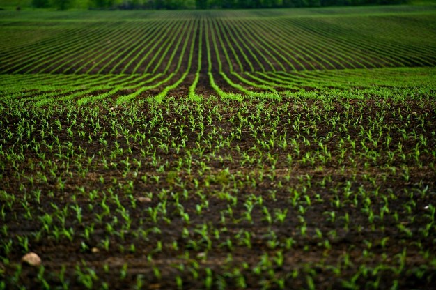 Journée de l'agriculture