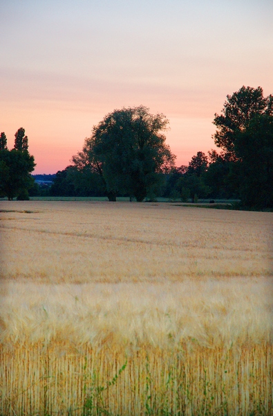 Boucle de Marsalou - Montaut, Montaut