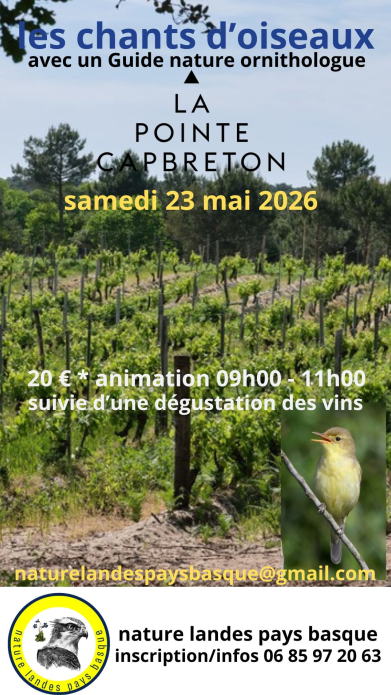 Visite thématique guidée et dégustation vins — visuel événement