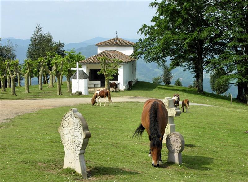 Village d'Ainhoa