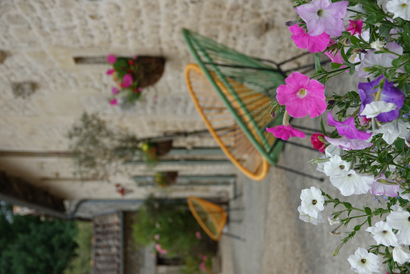 Gîtes dans les champs