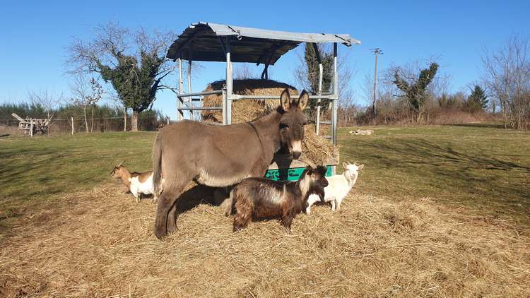La cabane mobile, Beyssenac - photo 7