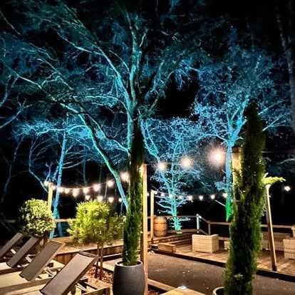 Moulin d'Hourtoy, Moustey - photo 16