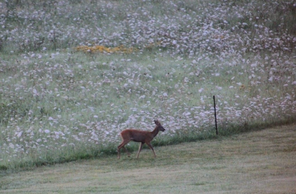 Le Cantou de La Tontonière, Saint-Avit-Rivière - photo 2
