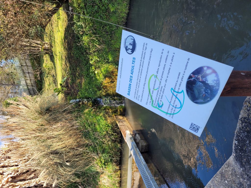 Chasse au trésor sur les traces de la truite !