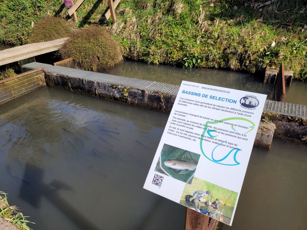Chasse au trésor sur les traces de la truite !, Douzillac - photo 4