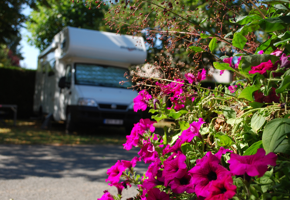 Camping Municipal des Ecluzelles - photo 4