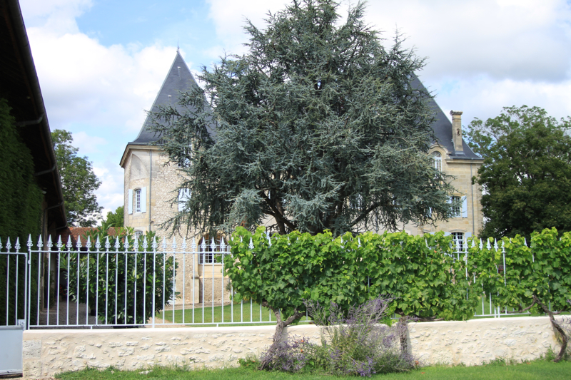 Château L'Enclos, Pineuilh - photo 3