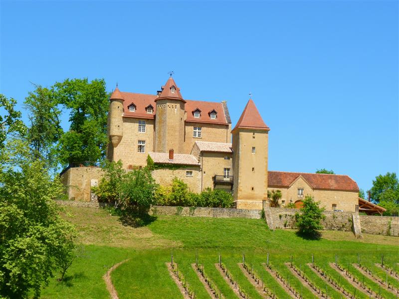 Châteaux et vignobles du Madiran (cyclotourisme)