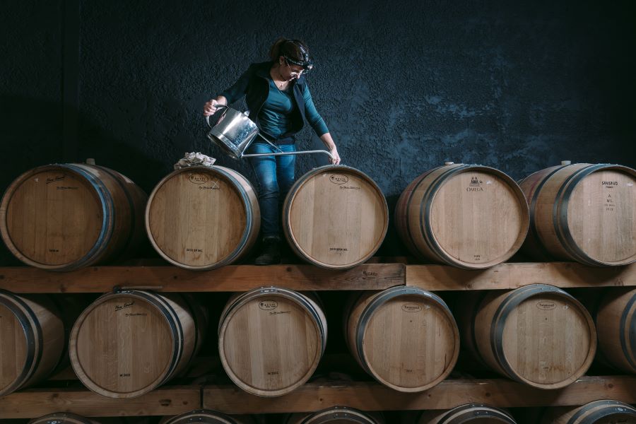 Château Bel-Air La Royère - photo 5