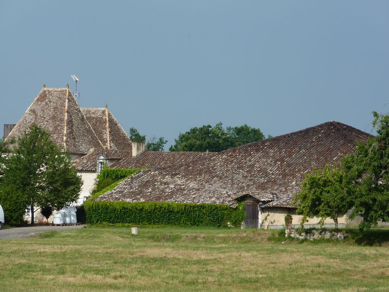 Château Caillavel - photo 5