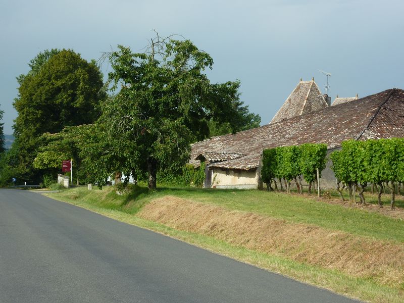 Château Caillavel - photo 4