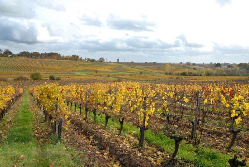 Boucle à vélo Blaye - Bourg, Blaye - photo 4