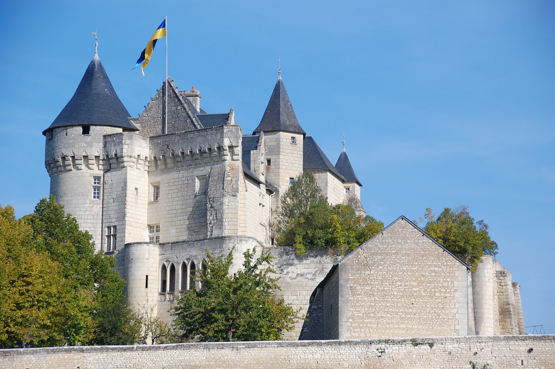 Château de la Motte, Usseau - photo 4