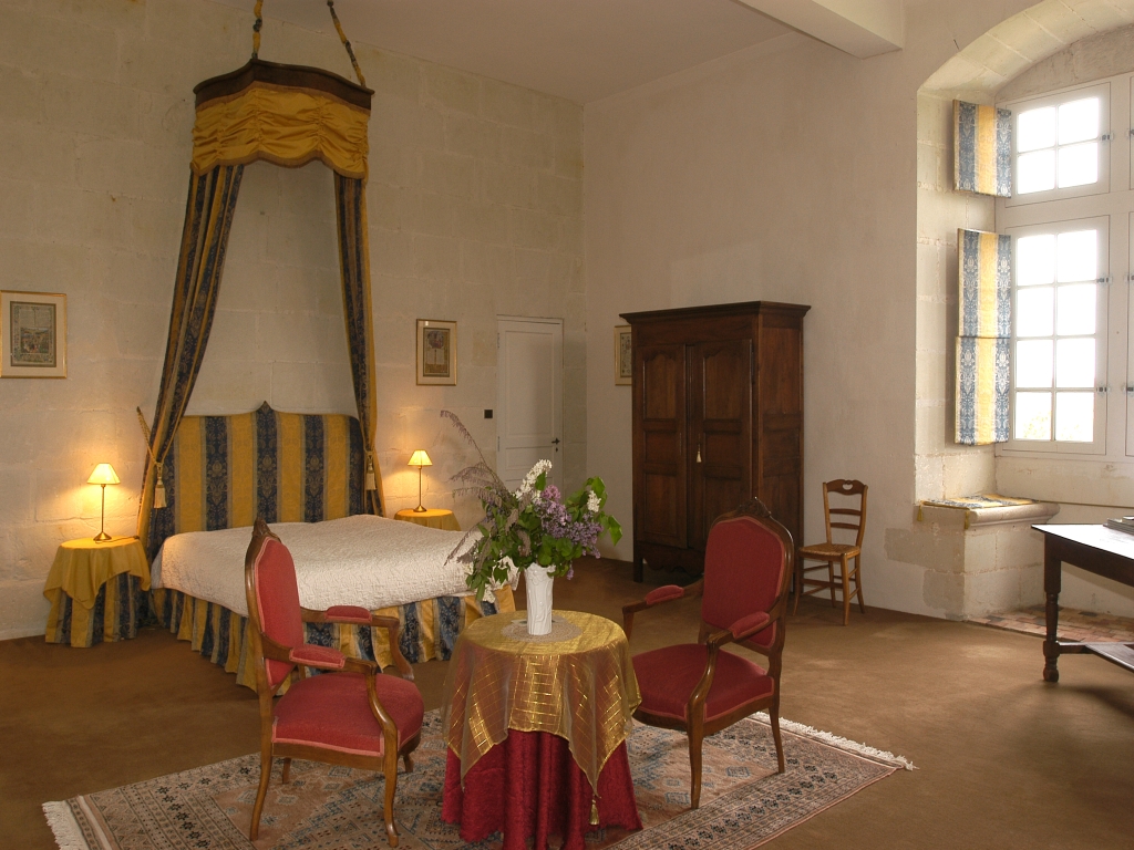 Château de la Motte, Usseau - photo 6
