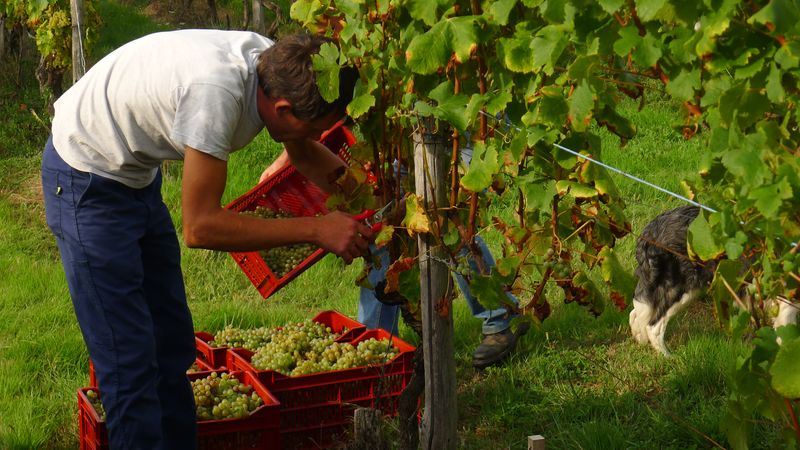 Château de Peyrel - photo 2