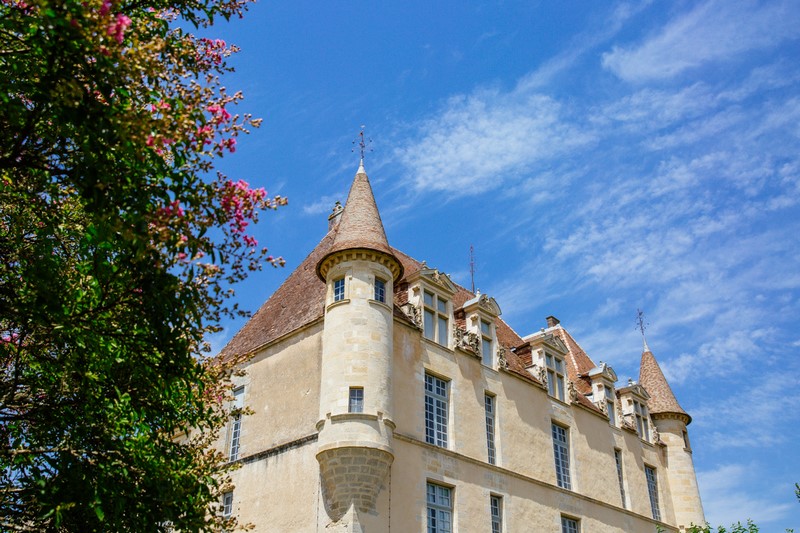 Château du Hamel, Castets et Castillon - photo 3