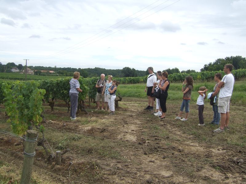 Château Haut-Pezaud
