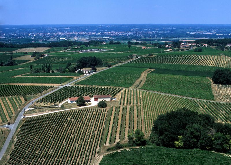 Château Haut-Pezaud - photo 4