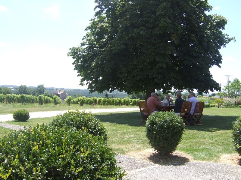 Château Haut-Pezaud - photo 2