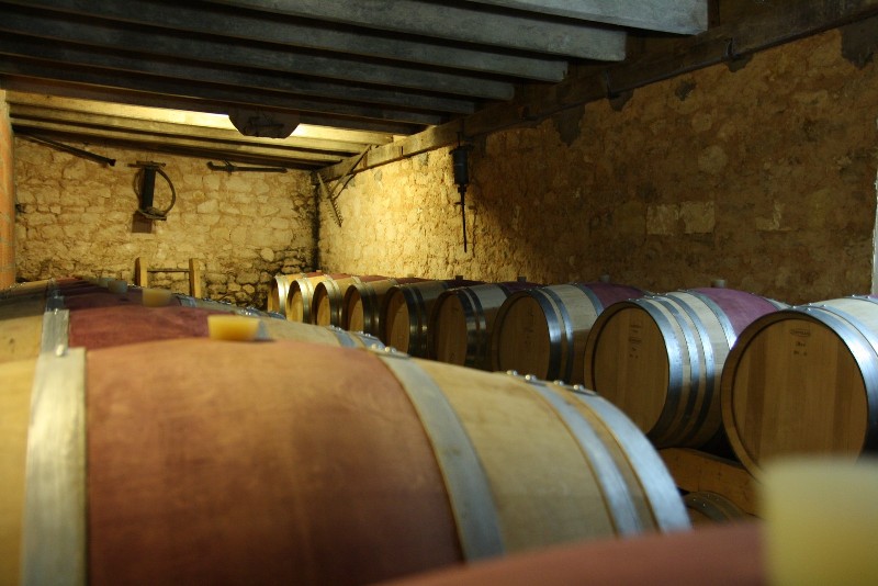 Château Frédignac - photo 4