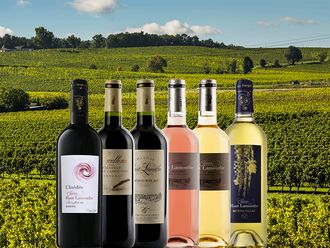 Château Haut Lamouthe - photo 5