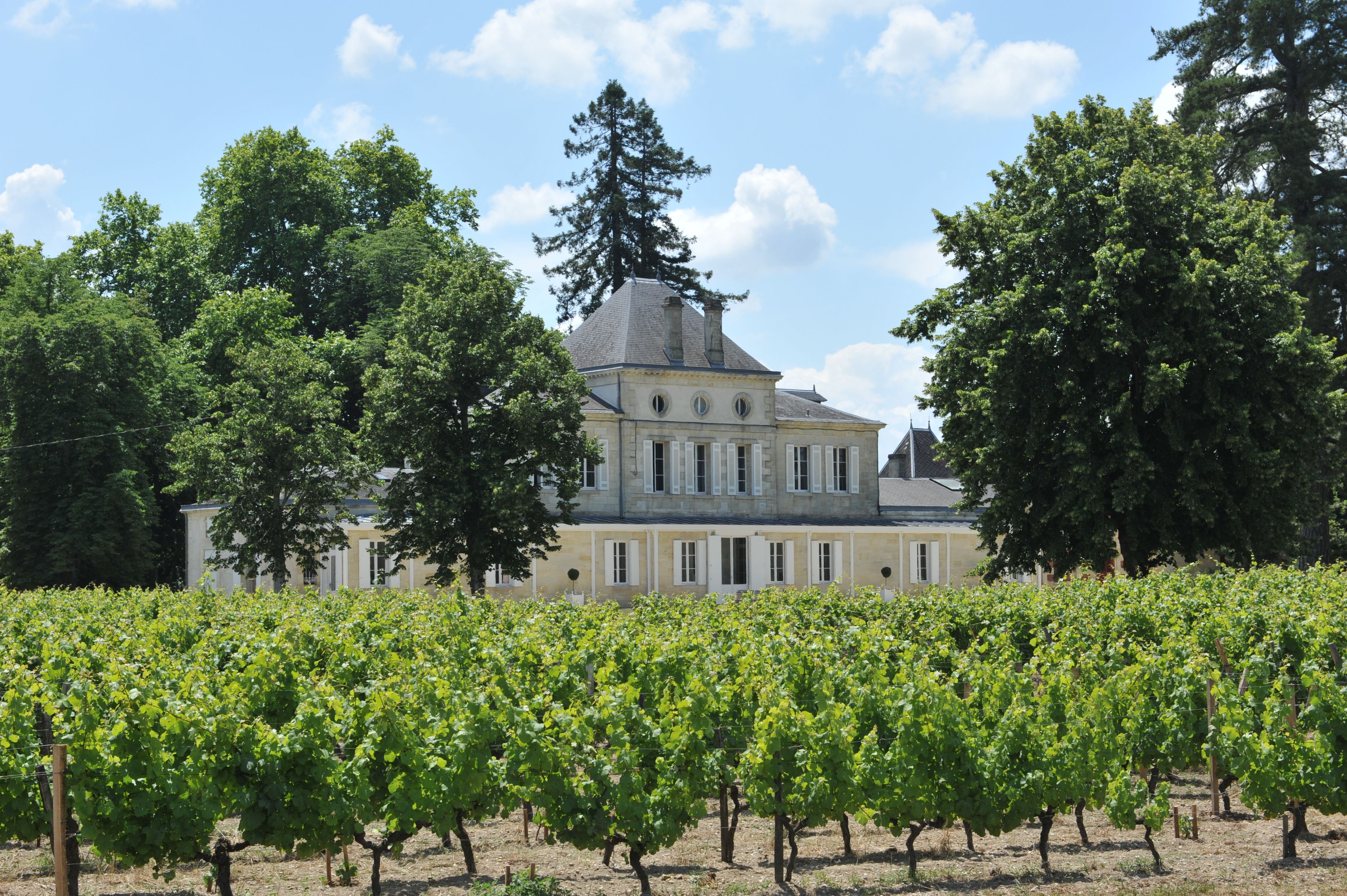 Visite Famille au Château Haut Nouchet